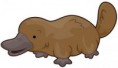 /album/pictures/platypus-theme-for-kids-jpg/